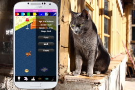 Cat Care - Cute Pet Simulator screenshot 2