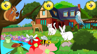 Animal Sounds Learn-Find Game screenshot 1