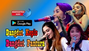 Dangdut Pantura Populer Mp3 Offline screenshot 0