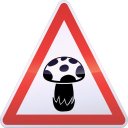 Geo Mushroom - Champignon cueillette Icon