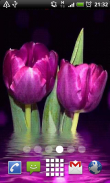 Purple Sparkle Tulips LWP screenshot 0