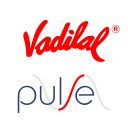 Vadilal Pulse