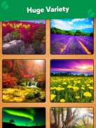 Jigsaw Puzzle: Create Pictures with Wood Pieces screenshot 5