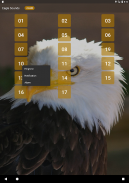 Eagle Sounds and Ringtone screenshot 3