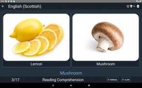 Scottish English Tests screenshot 8