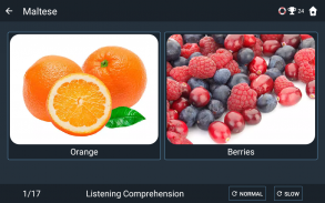 Maltese Language Tests screenshot 10