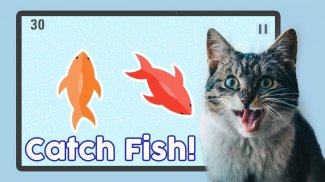 Fish for Cats - Cat Fishing Game screenshot 1