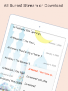 Audio Coran Abdul Basit screenshot 3