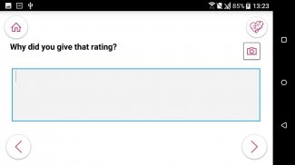 Prism Surveys screenshot 7