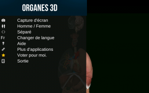 Organes Internes en 3D (Anatomie) screenshot 17