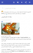 أسماك الزينة screenshot 4