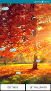 Live Wallpapers – Autumn screenshot 6