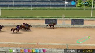 Pick Horse Racing screenshot 6