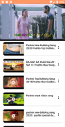 Pashto Songs & Pashto Videos screenshot 8