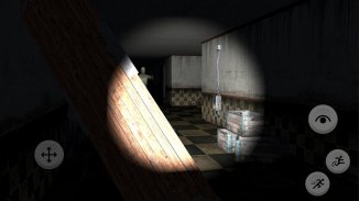 Asylum Insanity screenshot 1