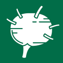 Lymphatic System Reference Icon