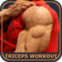 Triceps Workout Exercises