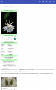 Plant physiology screenshot 1