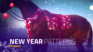 Customize Winter Racing Horse screenshot 2