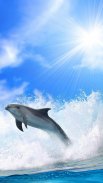 Dolphins Live Wallpaper screenshot 6