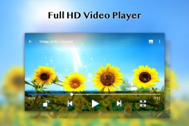 Reproductor de Vídeo Completo HD screenshot 0