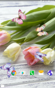 Tulips Live Wallpaper screenshot 5