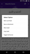 Maarif ul Quran screenshot 3