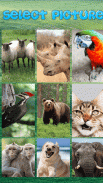 Animals Puzzle screenshot 4