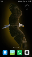 Eagle Wallpaper screenshot 2