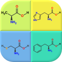 Amino Acid Structure Quiz/Card