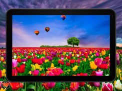 Flower Fields Live Wallpaper screenshot 6