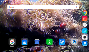 Aquarium Live Wallpaper screenshot 7