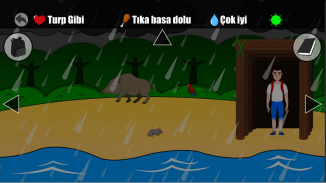 Deserted Island screenshot 3