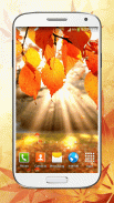 Autumn Live Wallpaper HD screenshot 2