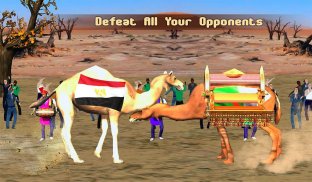 Camel Champion Fighting: Angry Camel Ring Fighter screenshot 7