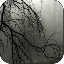 Gothic Rain Live Wallpaper Icon