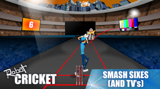 Robot Cricket screenshot 10
