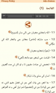 Quran (Sindhi / English) screenshot 5