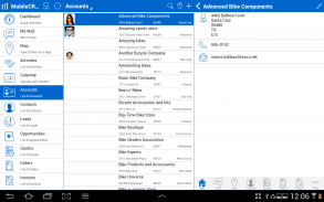 Resco Mobile CRM screenshot 3