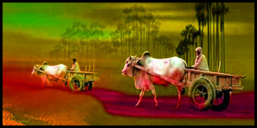 Dhenu TV screenshot 7