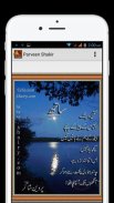 Urdu Poetry Parveen Shakir screenshot 1