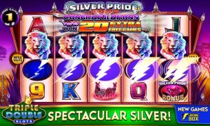 Triple Double Slots - Casino screenshot 2