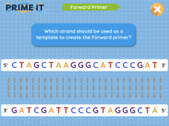 Prime It DNA Game screenshot 3