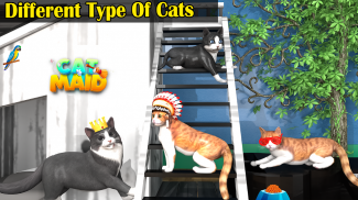 Cat and Maid 3 :Prank Cat Game screenshot 2
