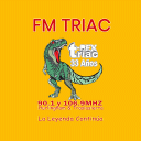 Fm Triac