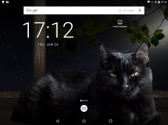 Cute Black Cat Live Wallpaper screenshot 1
