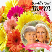 Mother's Day Video Maker 2024 screenshot 8