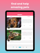 Bleppy: Find And Adopt a Pet screenshot 8