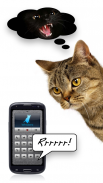 Mensch-Katze-Übersetzer screenshot 1