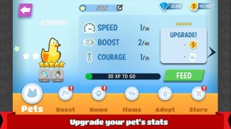 Pets Race - Fun Multiplayer PvP Online Racing Game screenshot 8